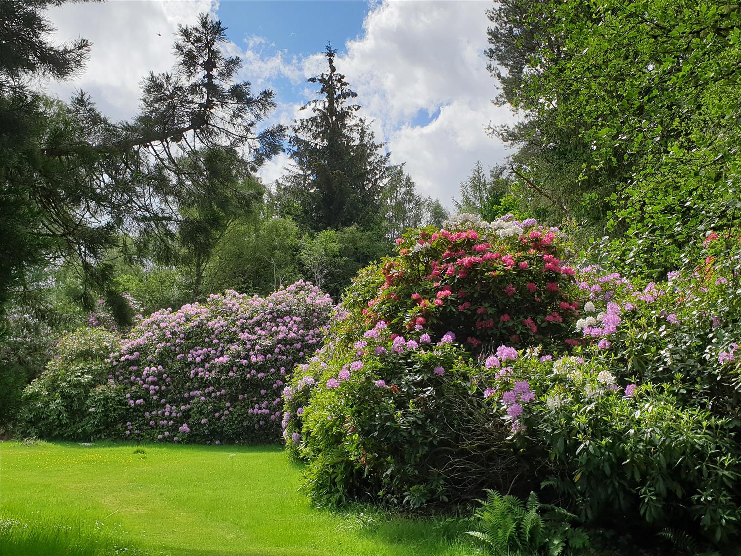 Selfcatering in Banchory / Dogfriendly holiday let